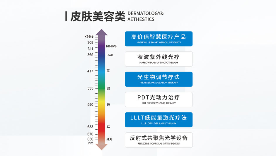 皮膚美容類(lèi)